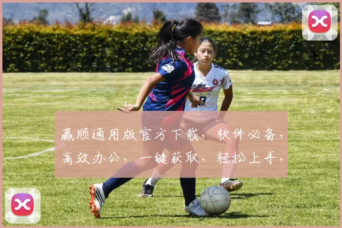 赢顺通用版官方下载，软件必备，高效办公，一键获取，轻松上手，安全可靠，免费体验