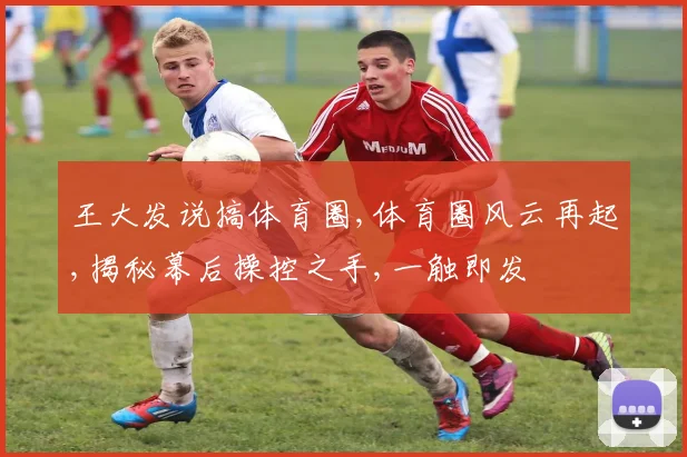 王大发说搞体育圈,体育圈风云再起,揭秘幕后操控之手,一触即发